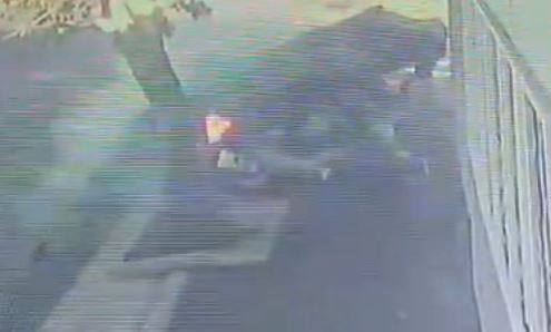 11-1778754656.jpg